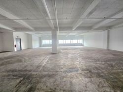 Perfect One (D13), Warehouse #567503881